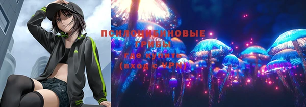 МДПВ Арсеньев