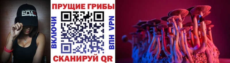 Галлюциногенные грибы Cubensis цены наркотик Бор